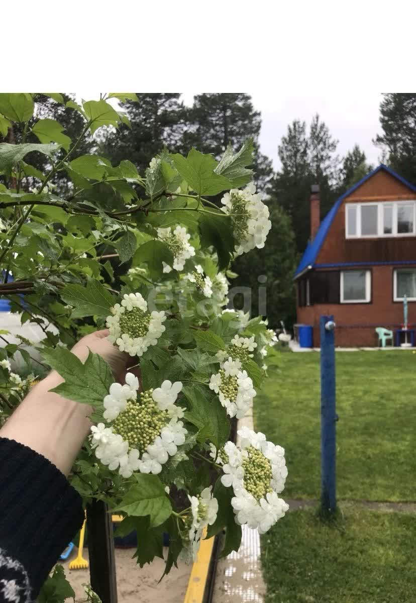 Купить загородную недвижимость в районе Калинка в Сургуте, продажа недорого