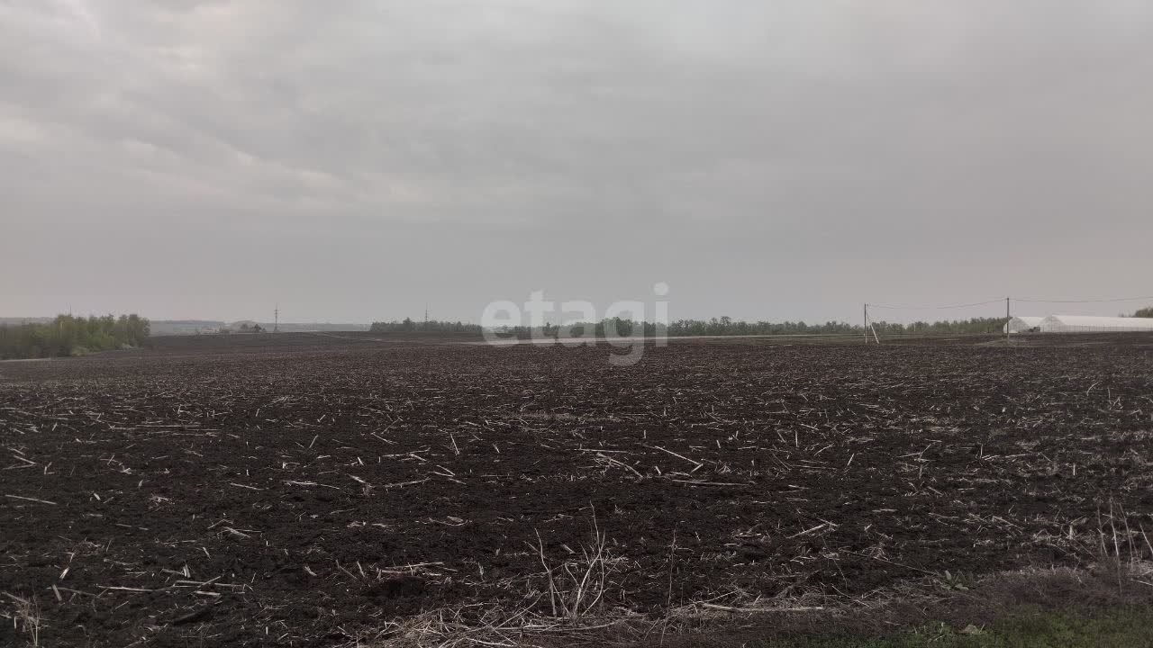 Покупка земельного участка, Агрофирма Дубовое ЗАО, 100 сот., 10705390,  Белгород - покупка