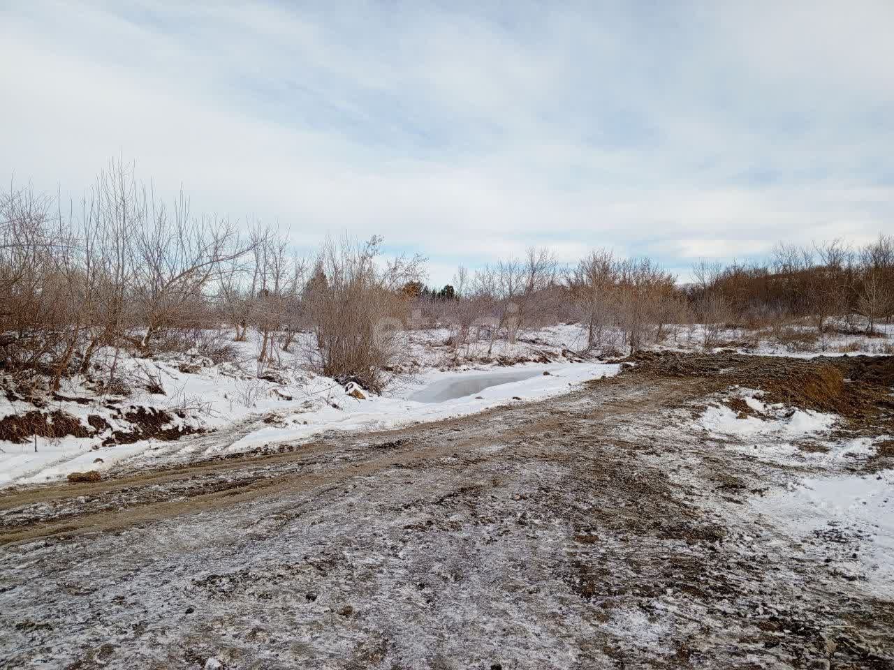 Покупка земельного участка, Алтайское, 250 сот., 10395767, Барнаул - покупка