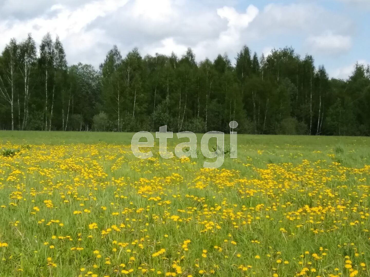 Купить Участок В Бабынинском Районе Калужской Области