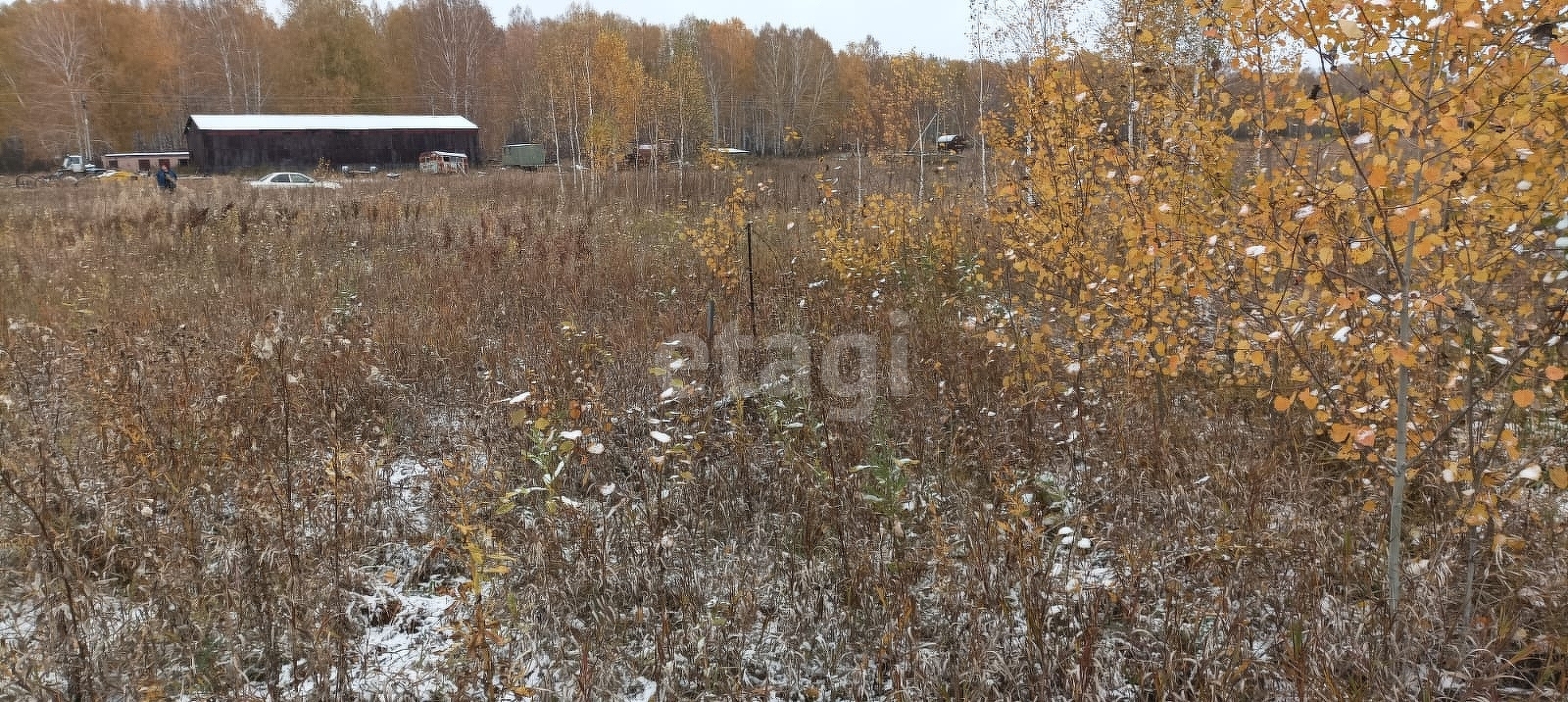 Купить загородную недвижимость в районе Большая Черемшанка д в  Новосибирске, продажа недорого