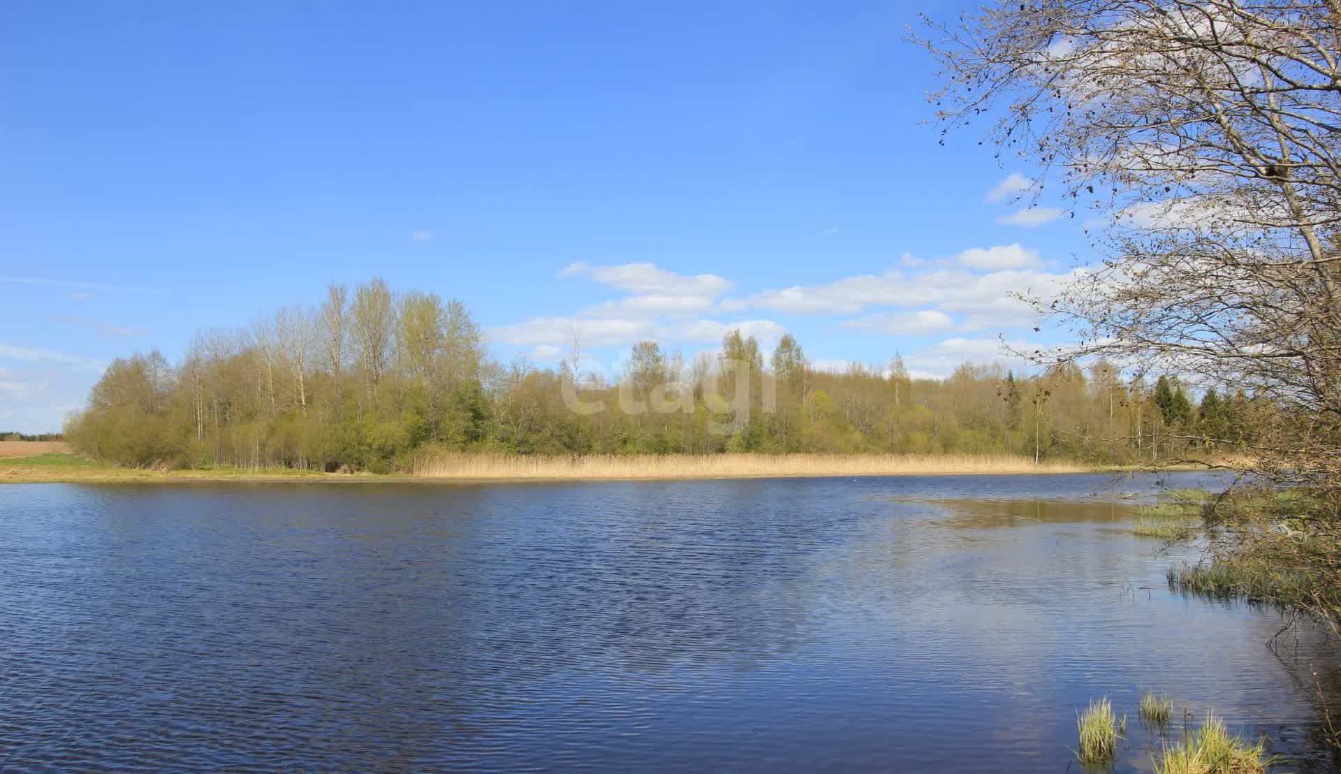 Купить загородную недвижимость в Шексне: 🏡 агентство по продаже, каталог