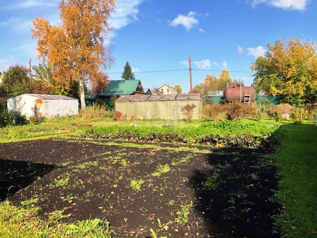 Покупка земельного участка, Березка СДТ, 5.1 сот., 8341158, Кемерово -  покупка