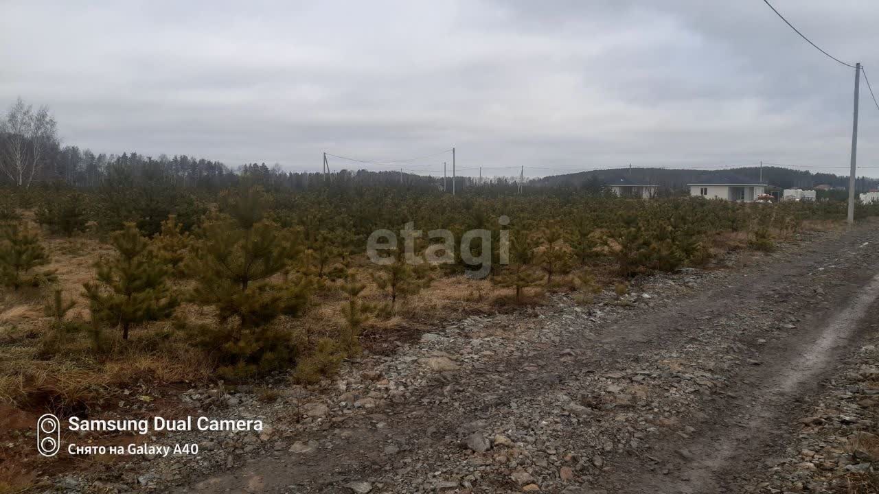 Покупка земельного участка, Вязовая посёлок, 12 сот., 10654774, Екатеринбург  - покупка