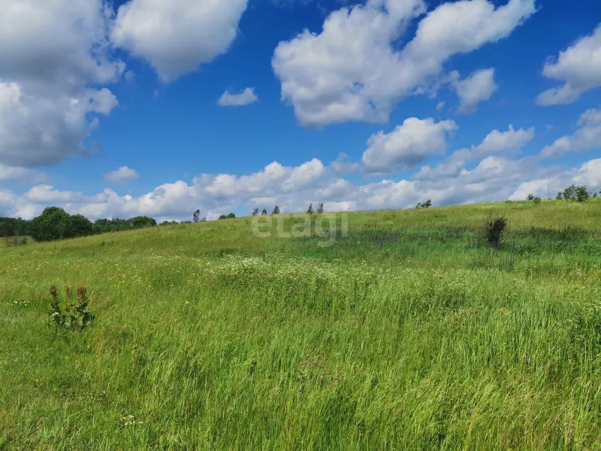 Купить земельный участок в Смоленске, 🏡 продажа участков земли недорого