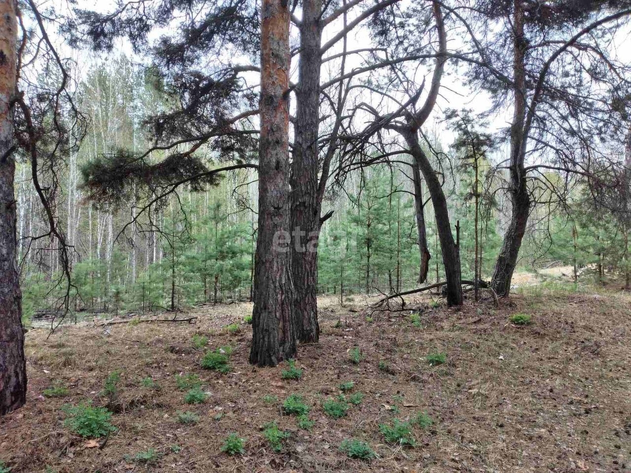 Купить Дом В Снт Архитектор В Тюмени