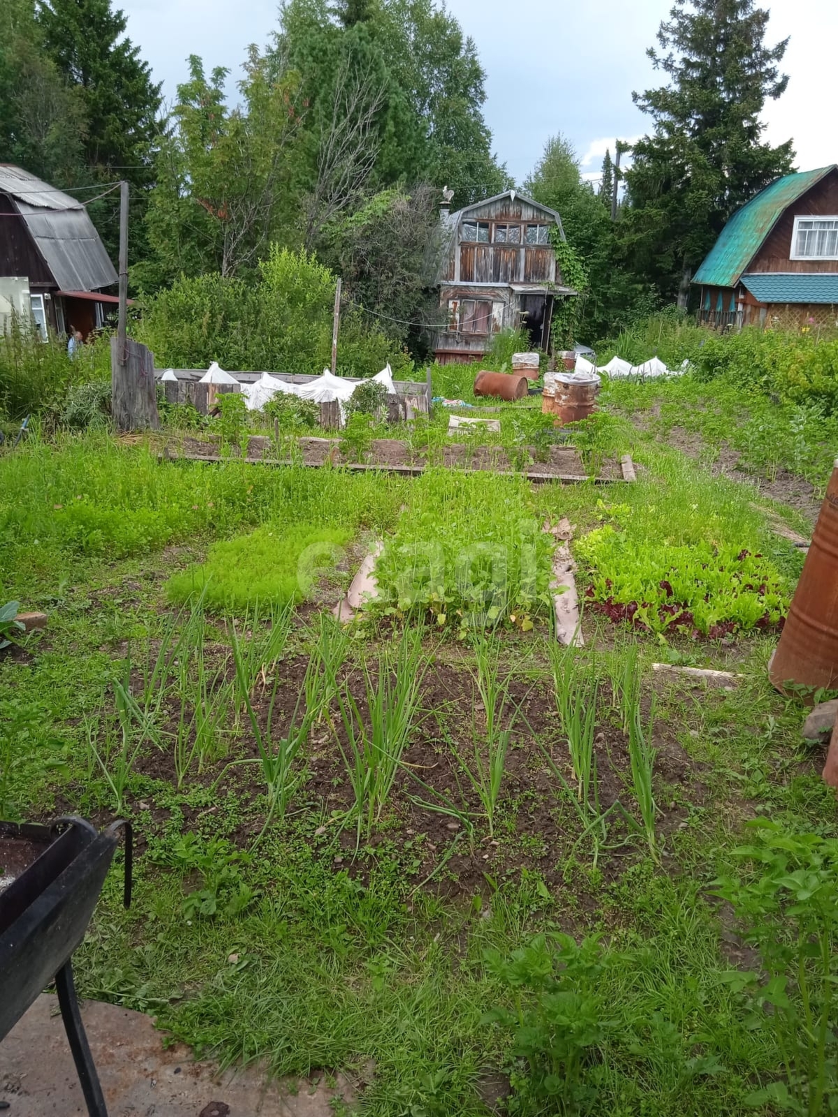 Покупка дачи, Сувенир СНТ, 6 сот., 40 м2, 8048098, Красноярск - покупка