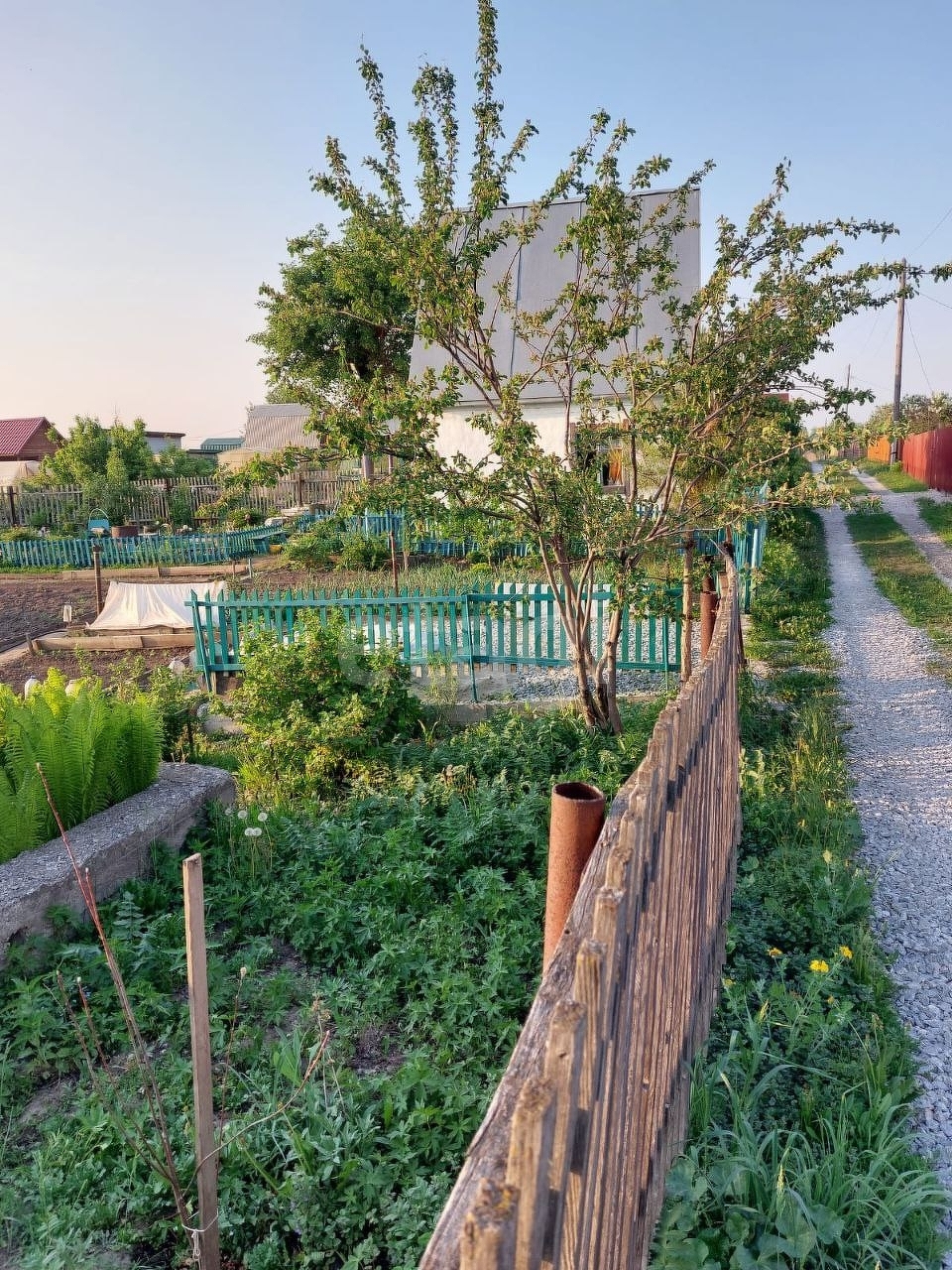 Купить Дачу В Бердске Снт Запрудный