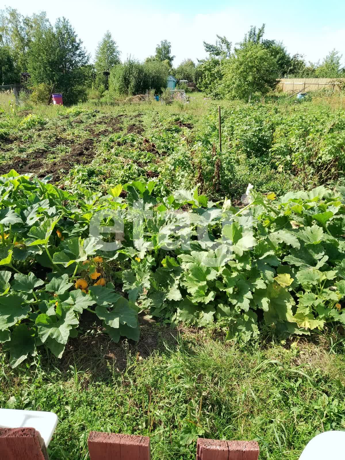 Купить дачу в районе Сухая Балка-2 СНТ в Красноярске, продажа недорого