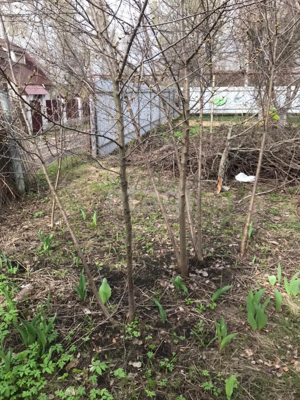 Аренда загородной недвижимости в Воронежской области: снять, 🏡 агентство,  цены