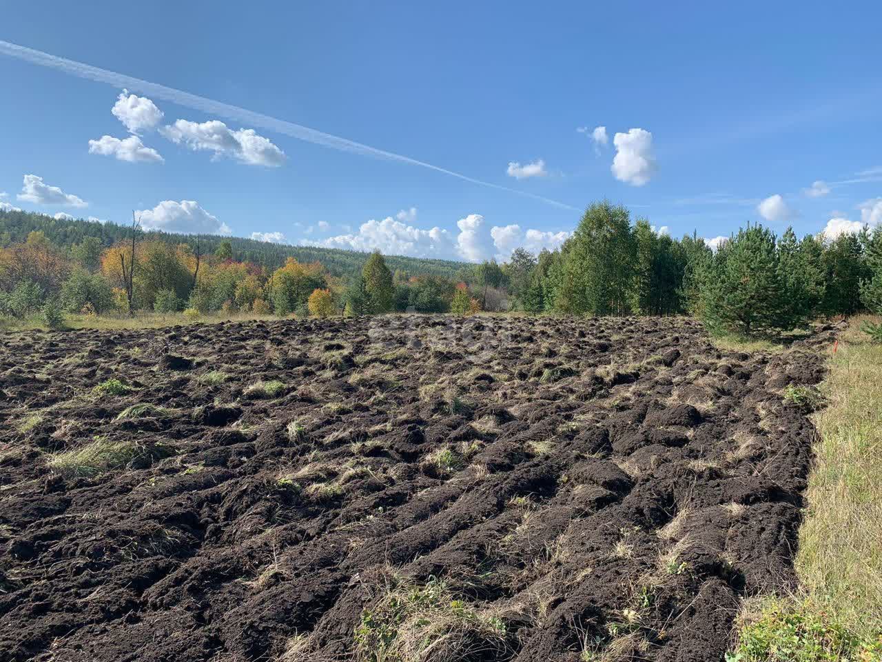 Покупка земельного участка, Сыростан с, 30 сот., 9938888, Миасс - покупка