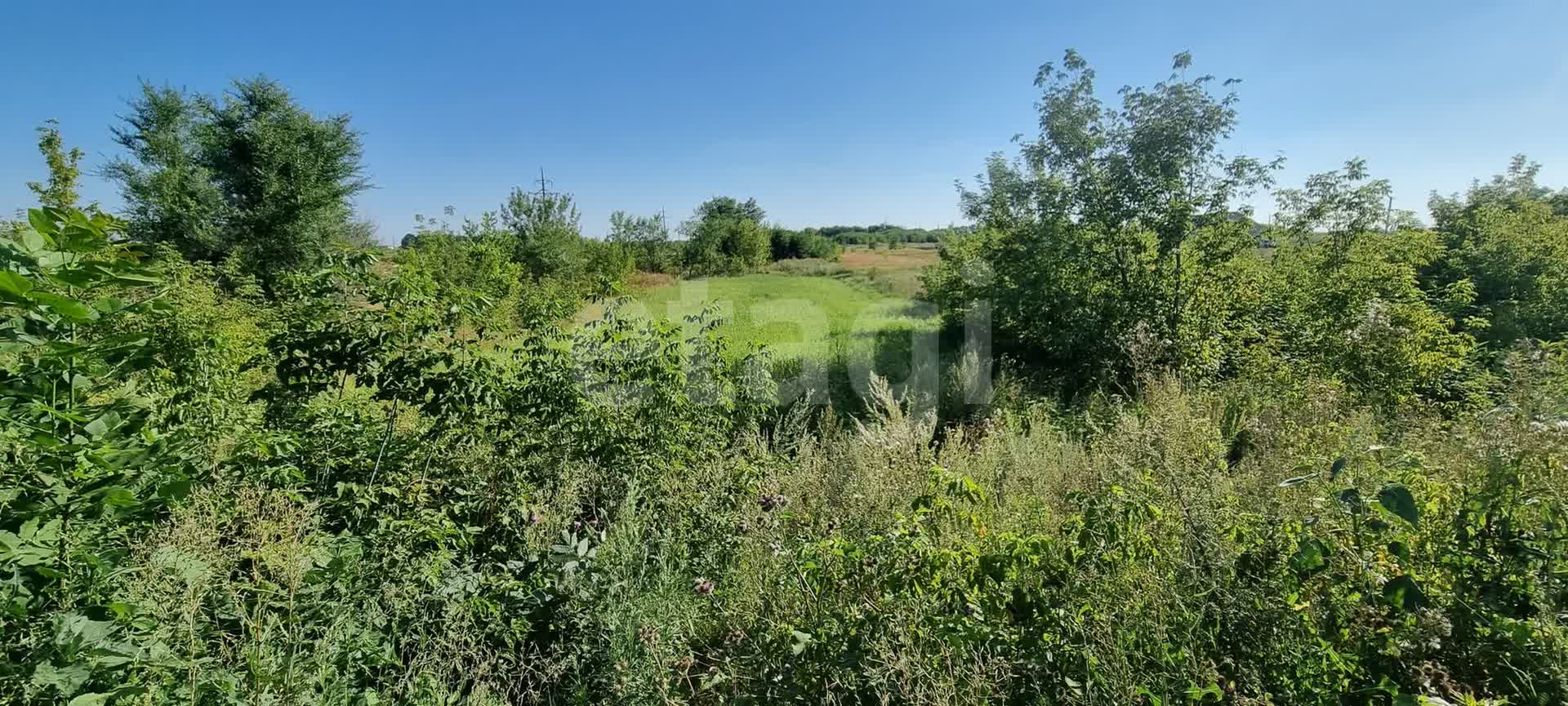 Купить Участок В Медовке Воронежской Области