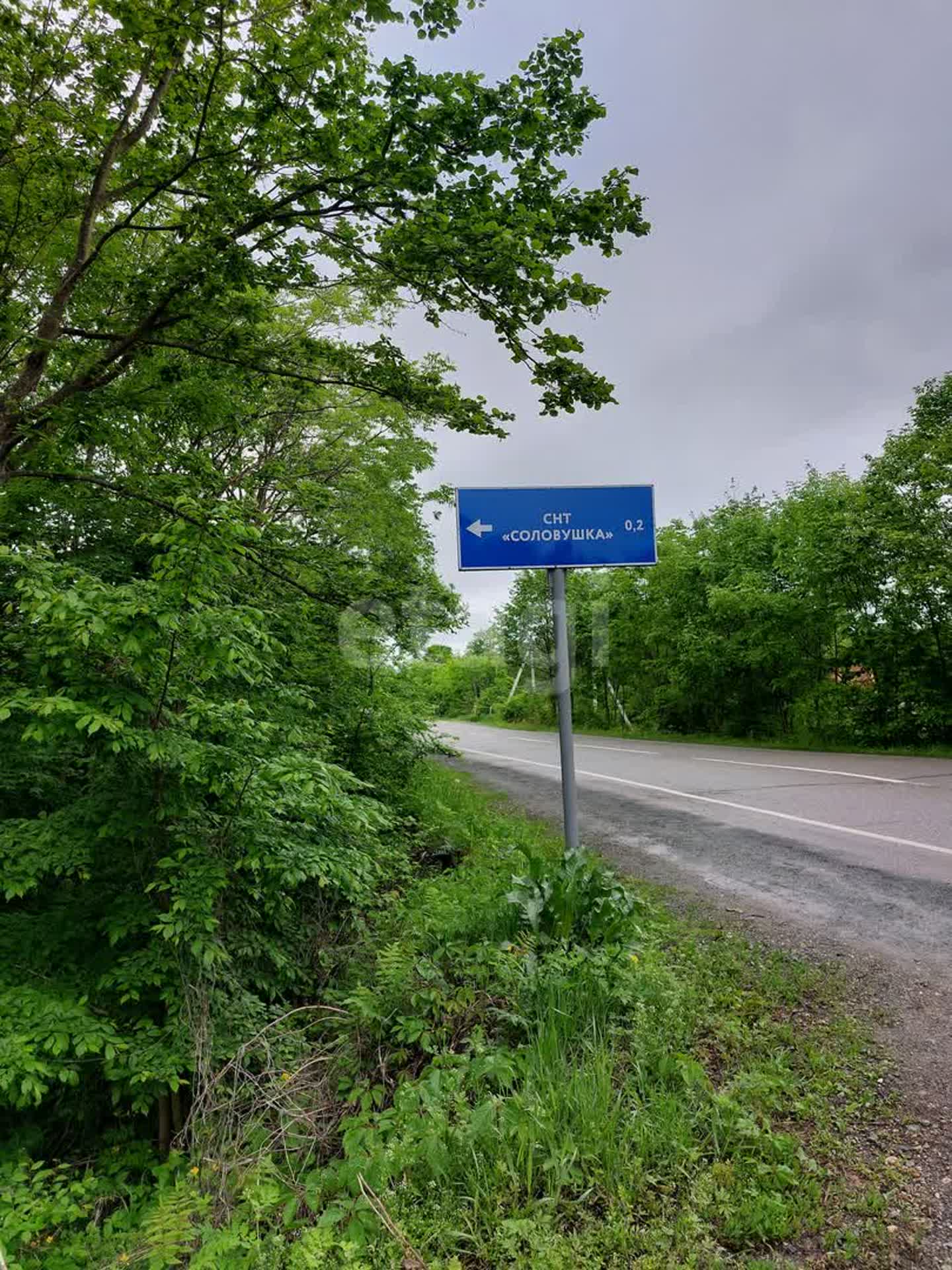 Купить дачу в пригороде во Владивостоке: цены, 🏡 недорого