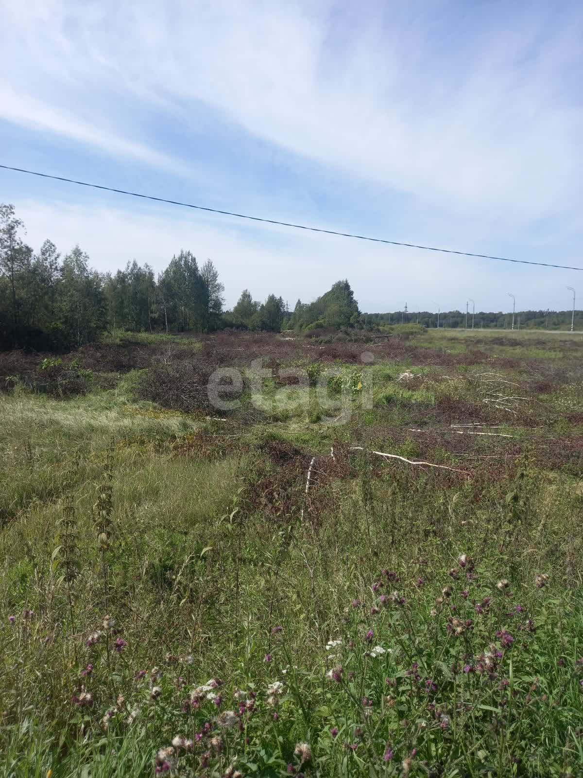 Купить земельный участок в районе Погорелое Городище с.(Зубцовский мо) в  Твери, продажа земли недорого