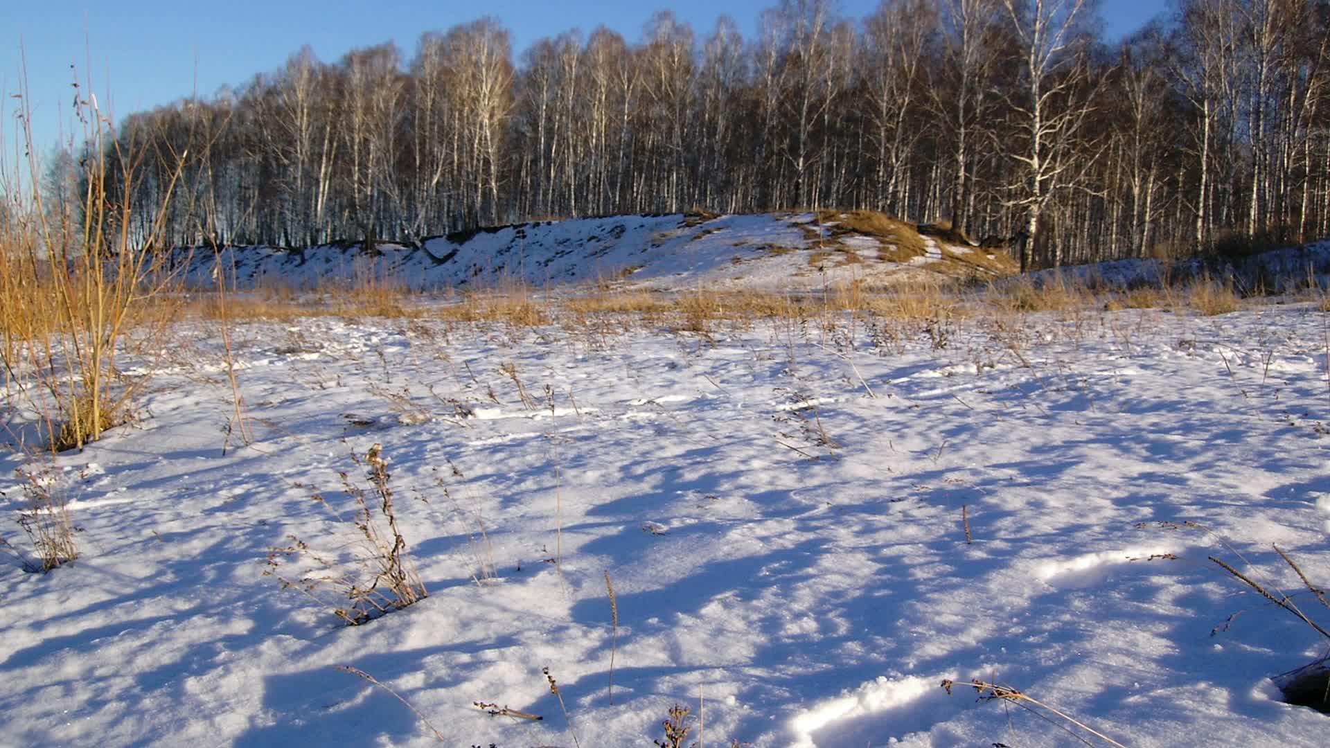 Купить земельный участок в районе село Теньки в Казани, продажа земли  недорого