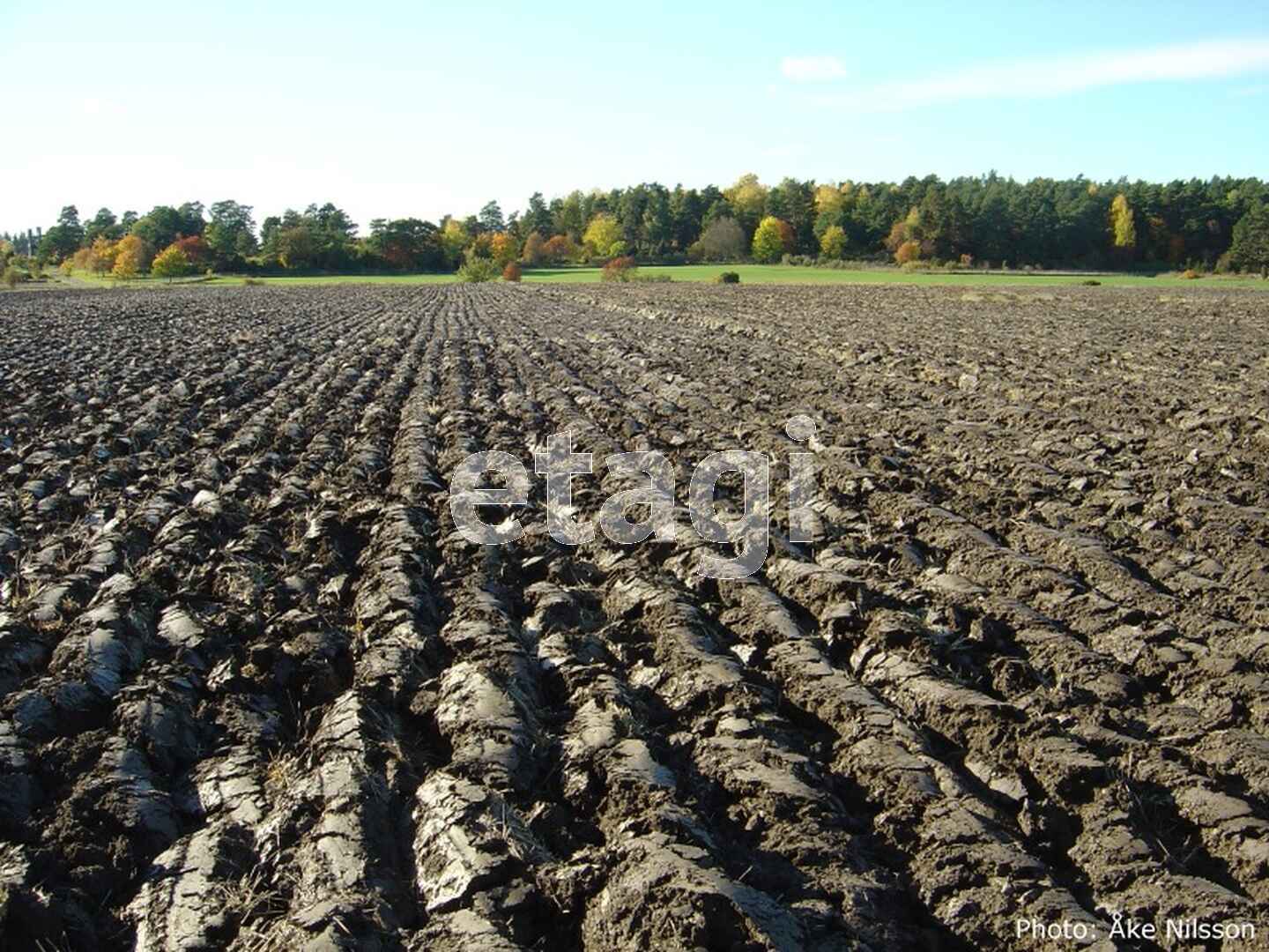 Фото Пашни Полей