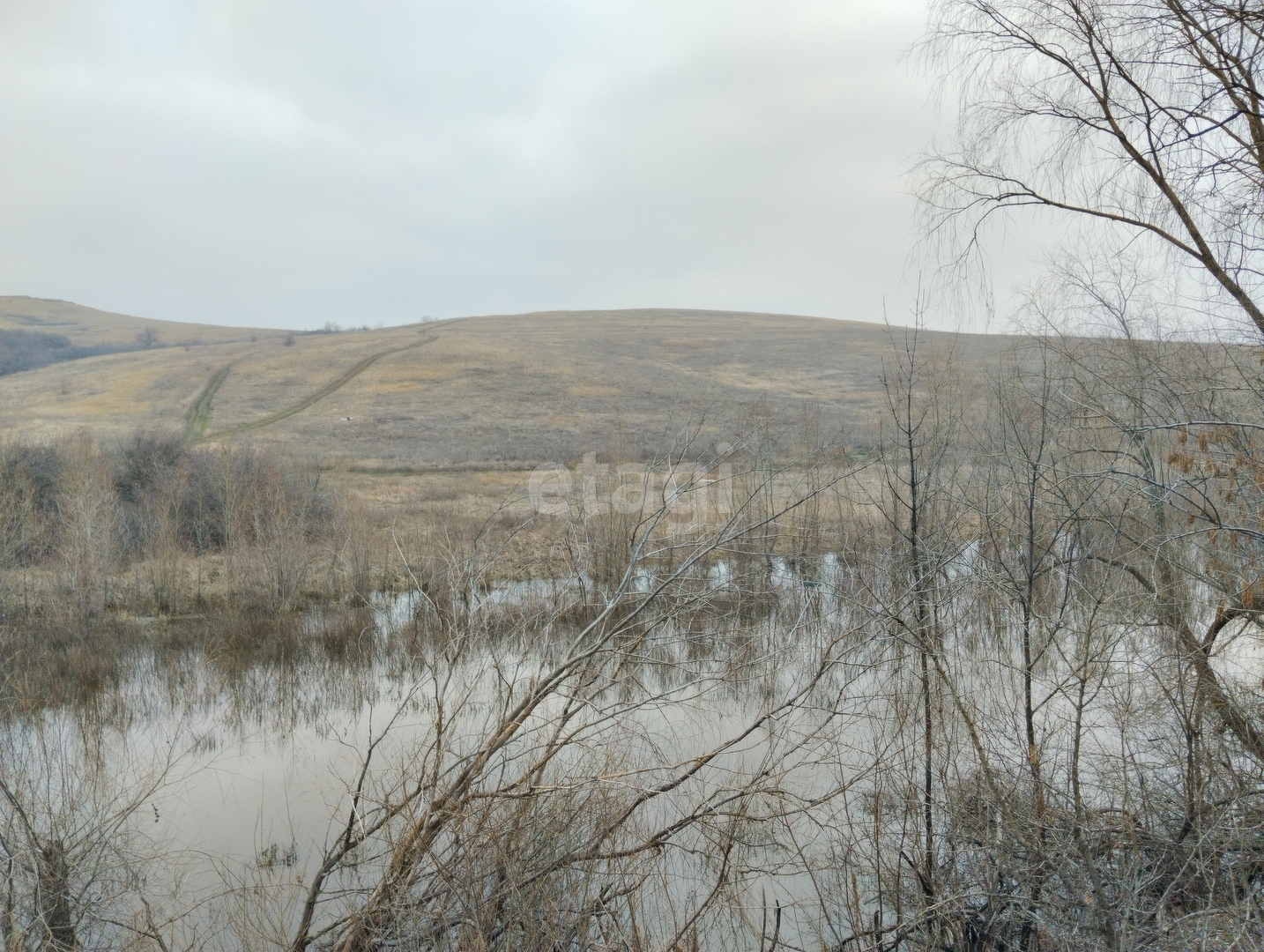 Покупка земельного участка, Расково, 600 сот., 7140792, Саратов - покупка