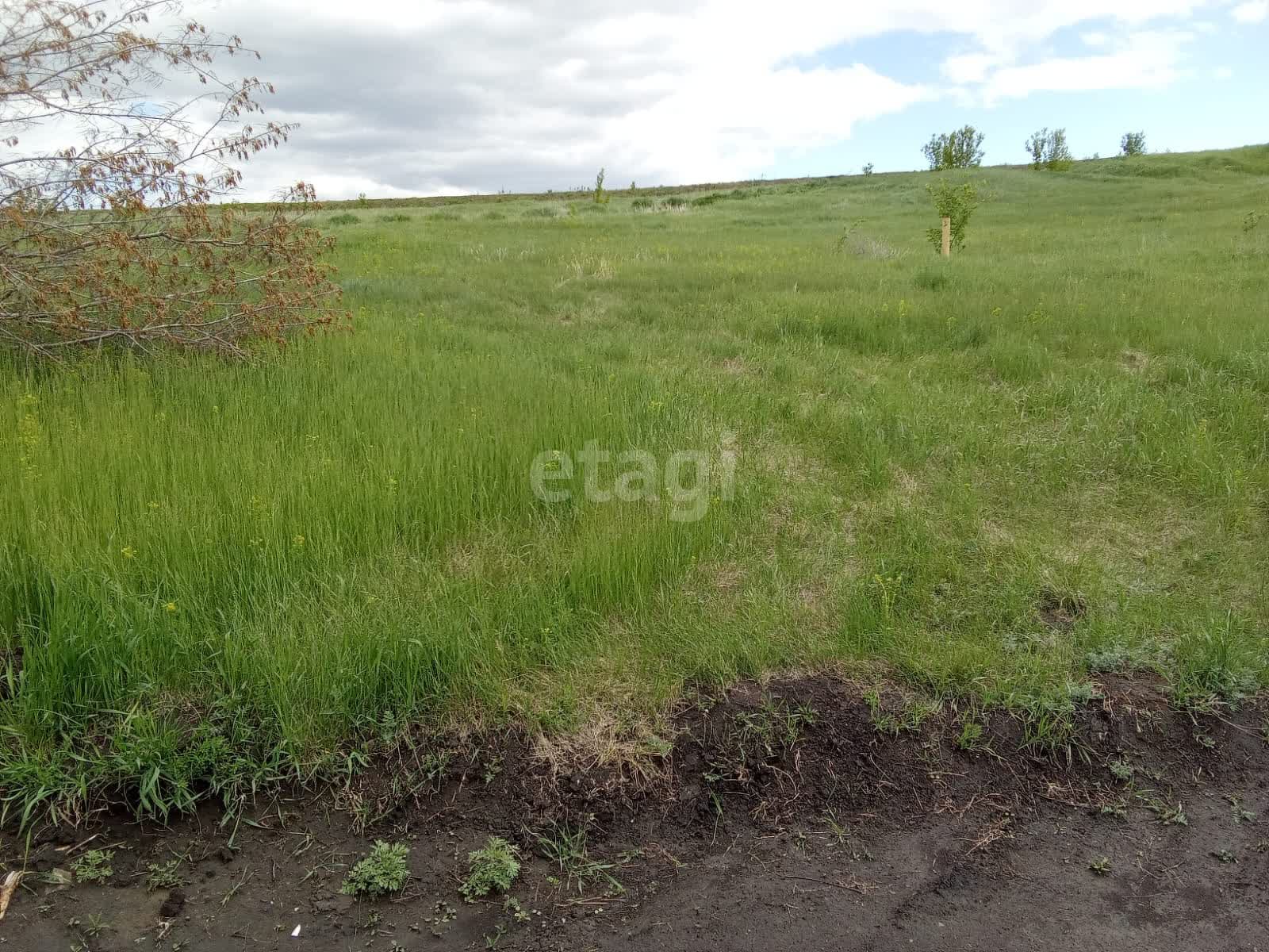 Покупка земельного участка, Казенная Заимка, 10 сот., 11092917, Барнаул -  покупка