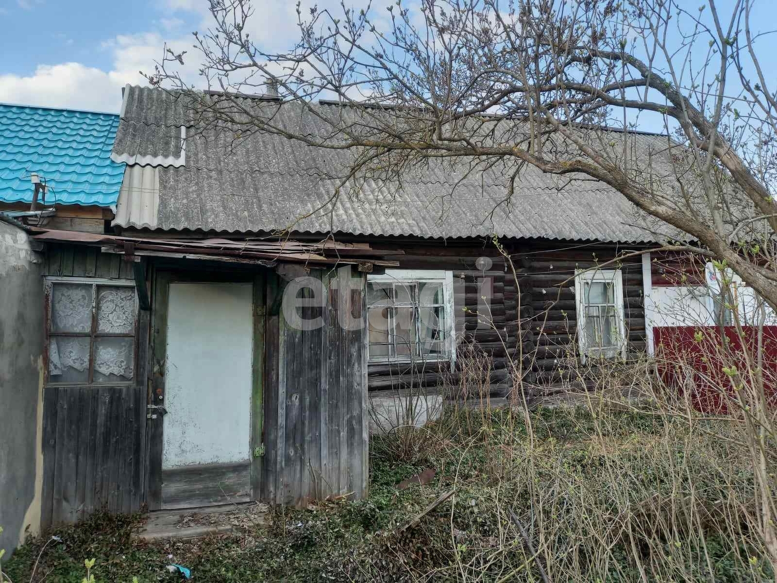 Ржаница жуковка. Ржаница Брянская область. Ржаница. Ржаница фото. Жуковка Ржаница.