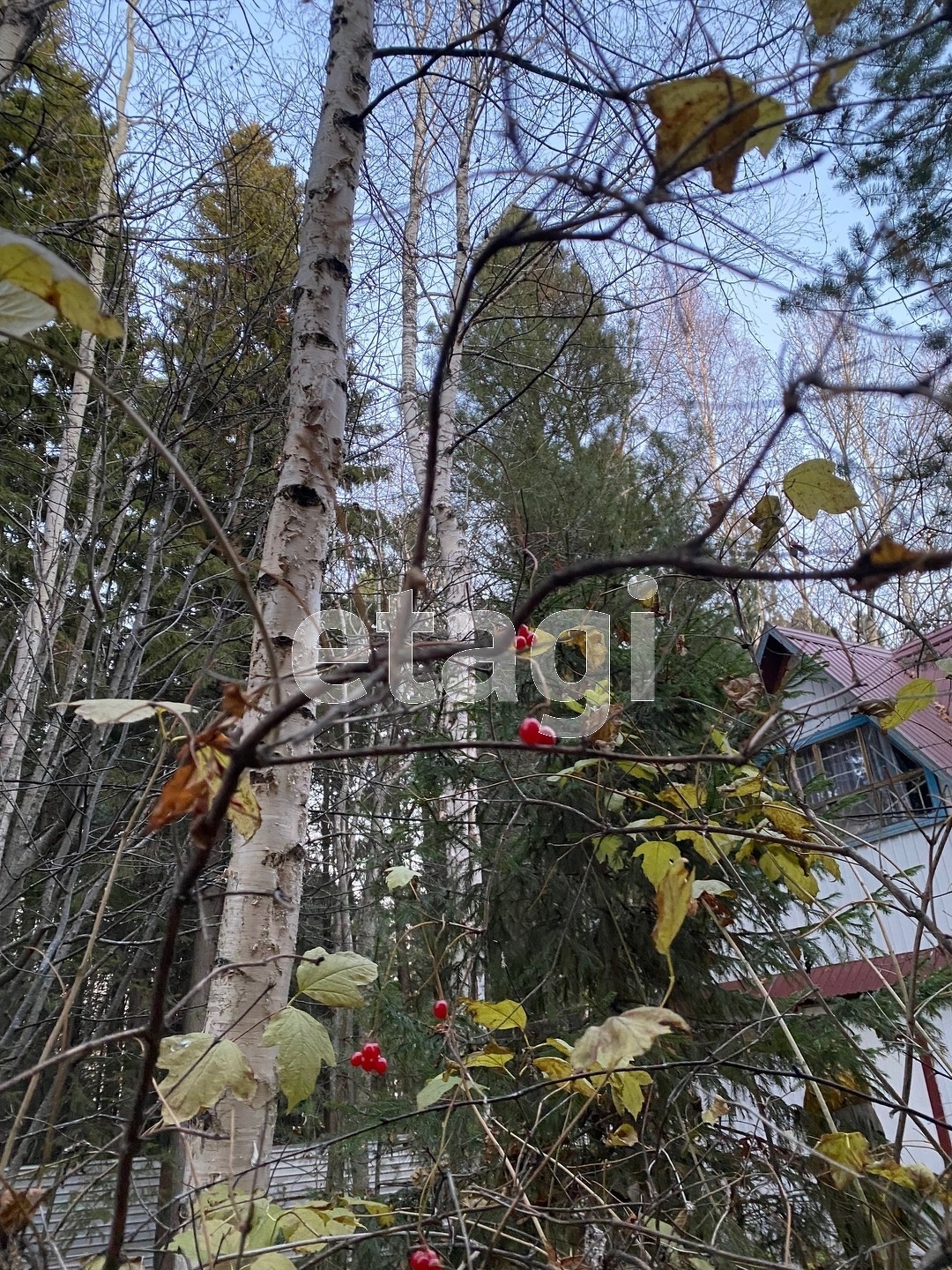 Купить дачу в районе Савкино оз в Нижневартовске, продажа недорого