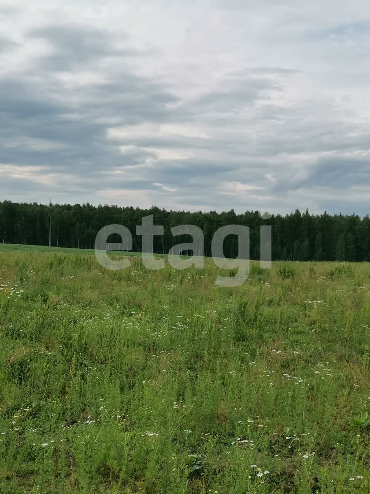 Купить земельный участок 14 соток в Брянске, 🏡 продажа участков  размером-площадью 14 соток