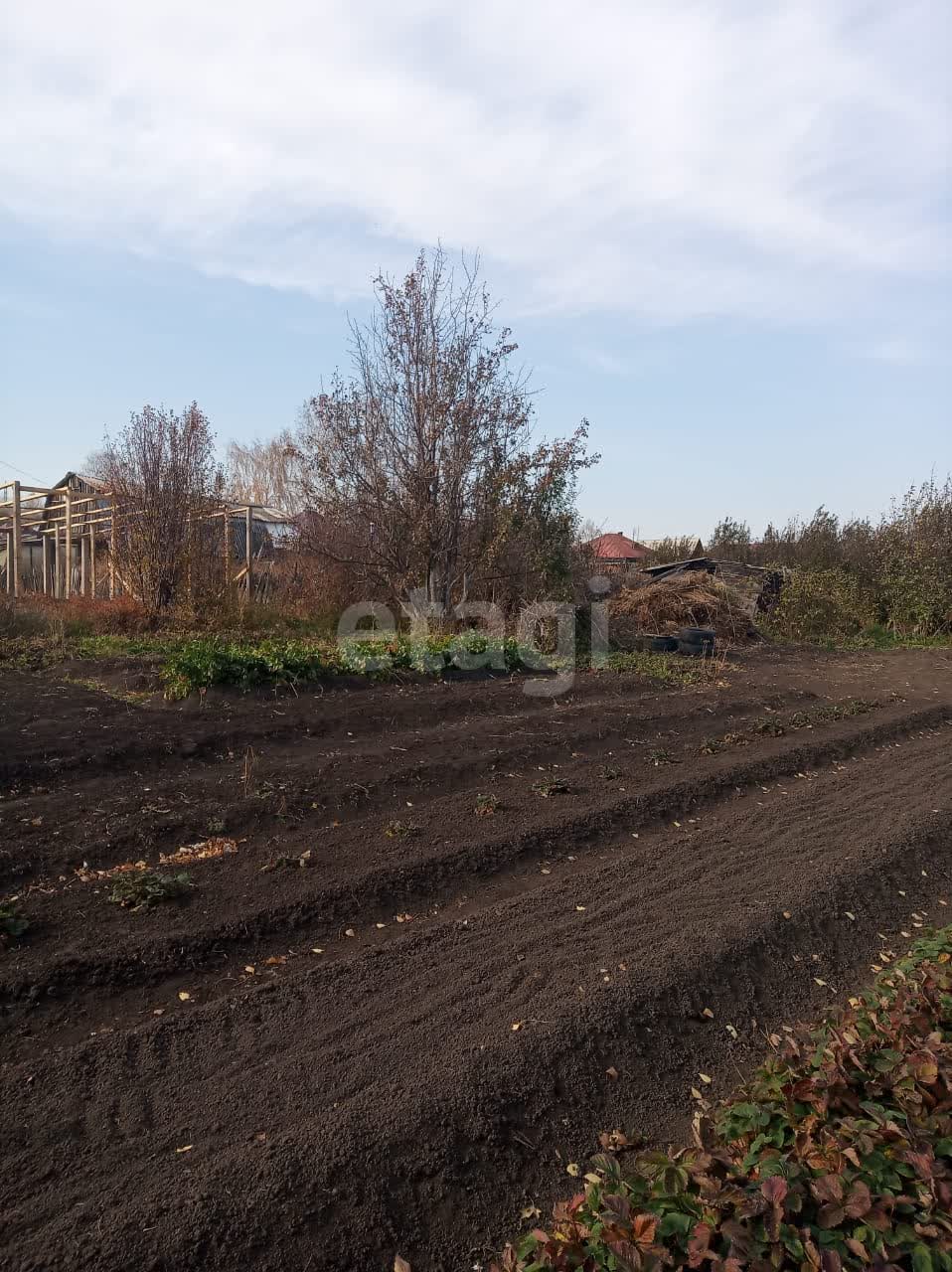Мировой рудничный 5 участок. Рудничный бор город кемерово. Мировой рудничный 5 участок. Мировой рудничный 5 участок. Скотомогильник в москве.