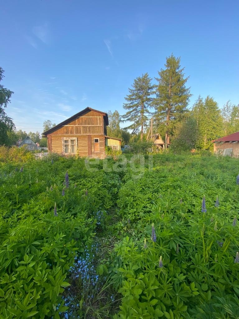 Купить дачу в районе СНТ Березка в Ухте, продажа недорого