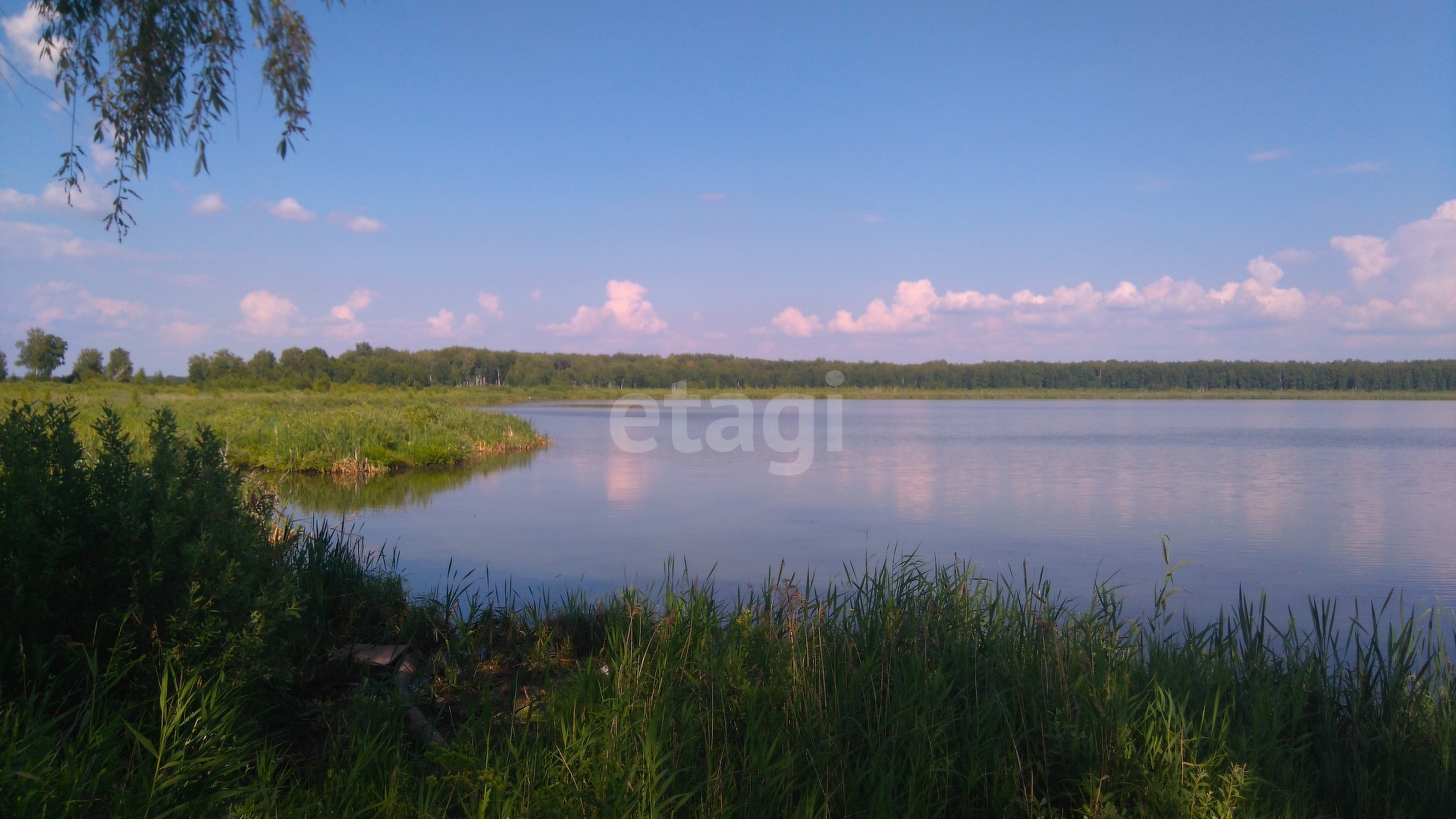 Покупка земельного участка, Слобода - Бешкиль с, 569 сот., 8817505,  Ялуторовск - покупка