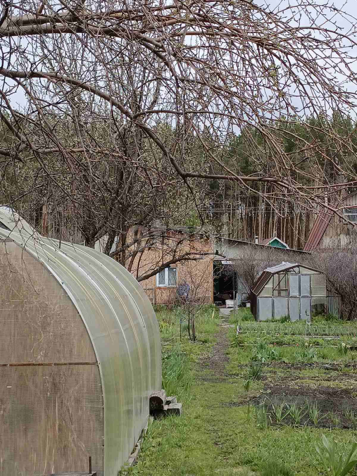 Купить дачу в Шадринске, 🏡 продажа дачных участков с домом недорого:  срочно, цены