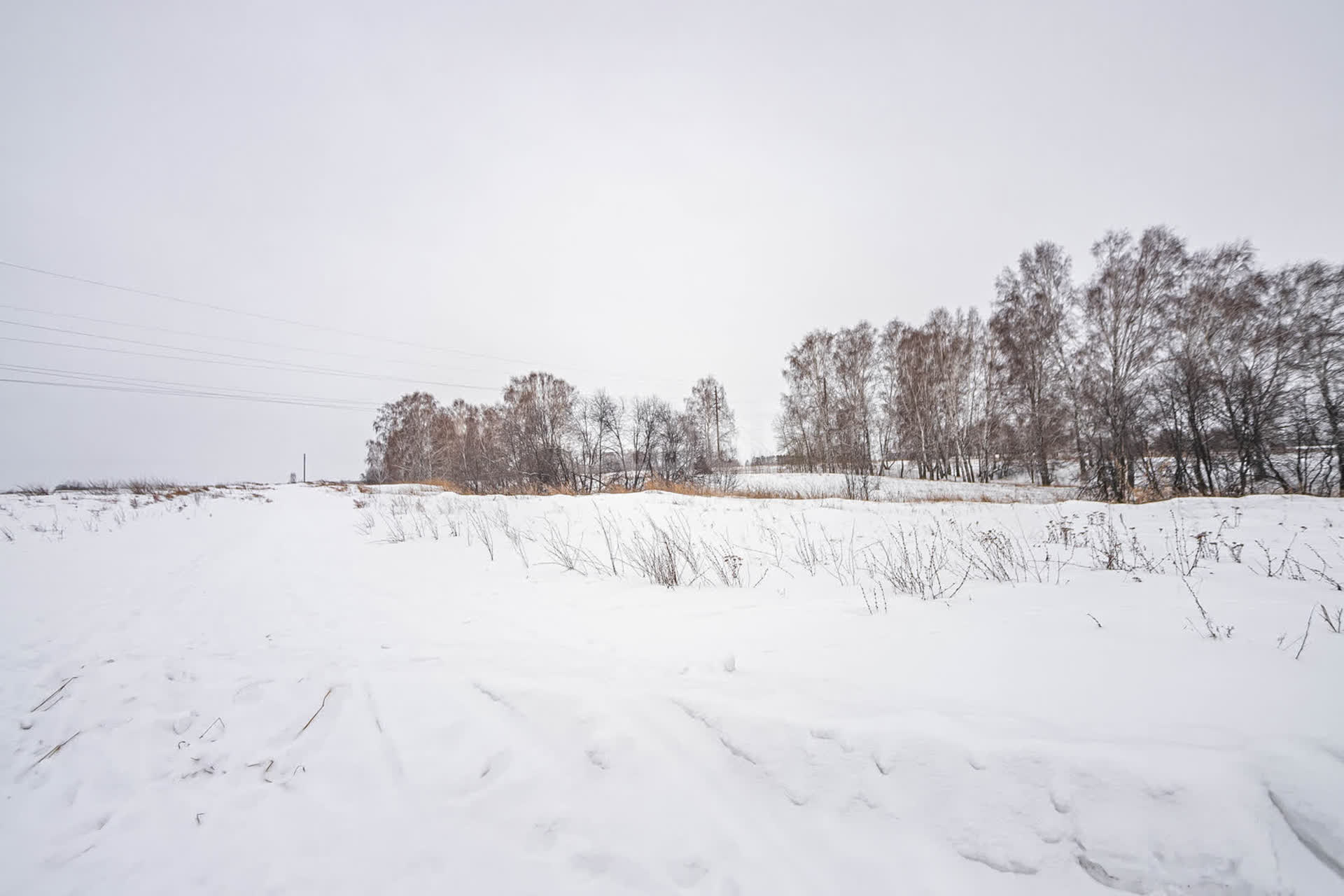 Купить загородную недвижимость в районе Сосновка с в Бердске, продажа  недорого