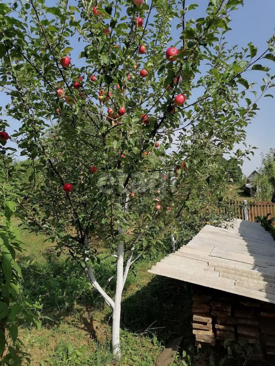 Купить деревянный дом в Пскове, 🏡 продажа деревянных домов