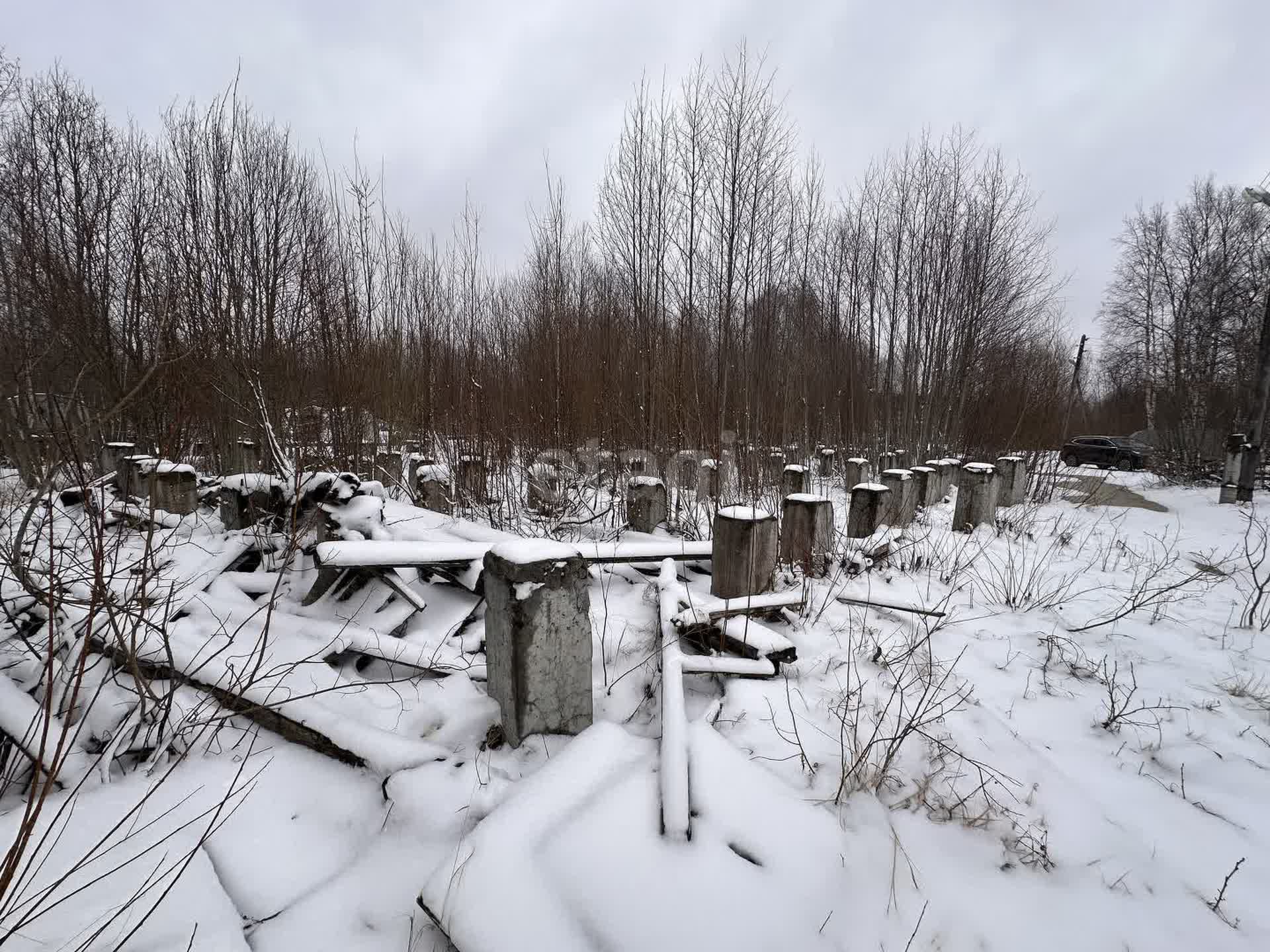 Купить земельный участок с электричеством в Архангельске, 🏡 продажа  участков