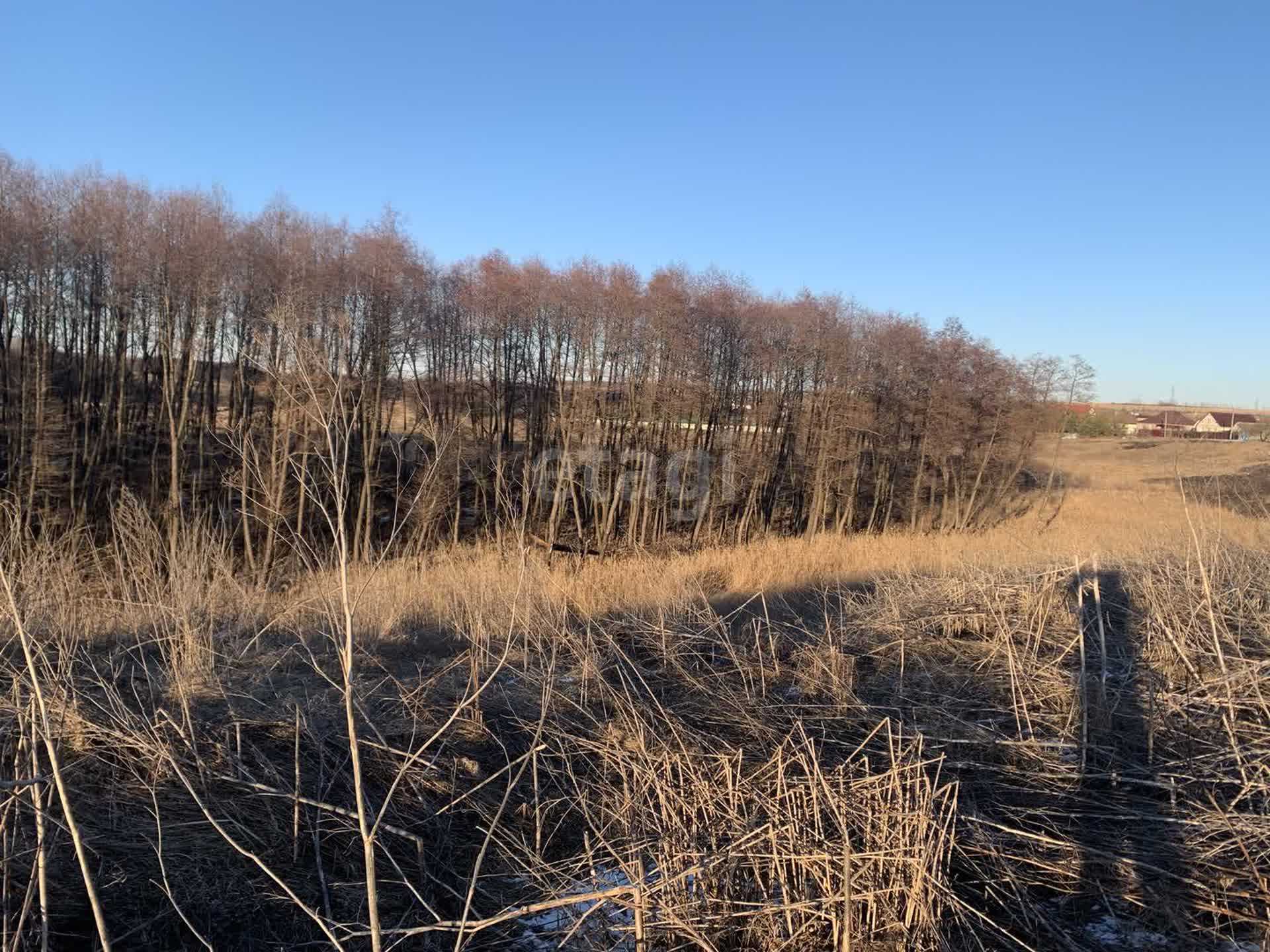 Купить коммерческую недвижимость, 🏢 район Севрюково в Белгороде, продажа  нежилых помещений недорого, цены