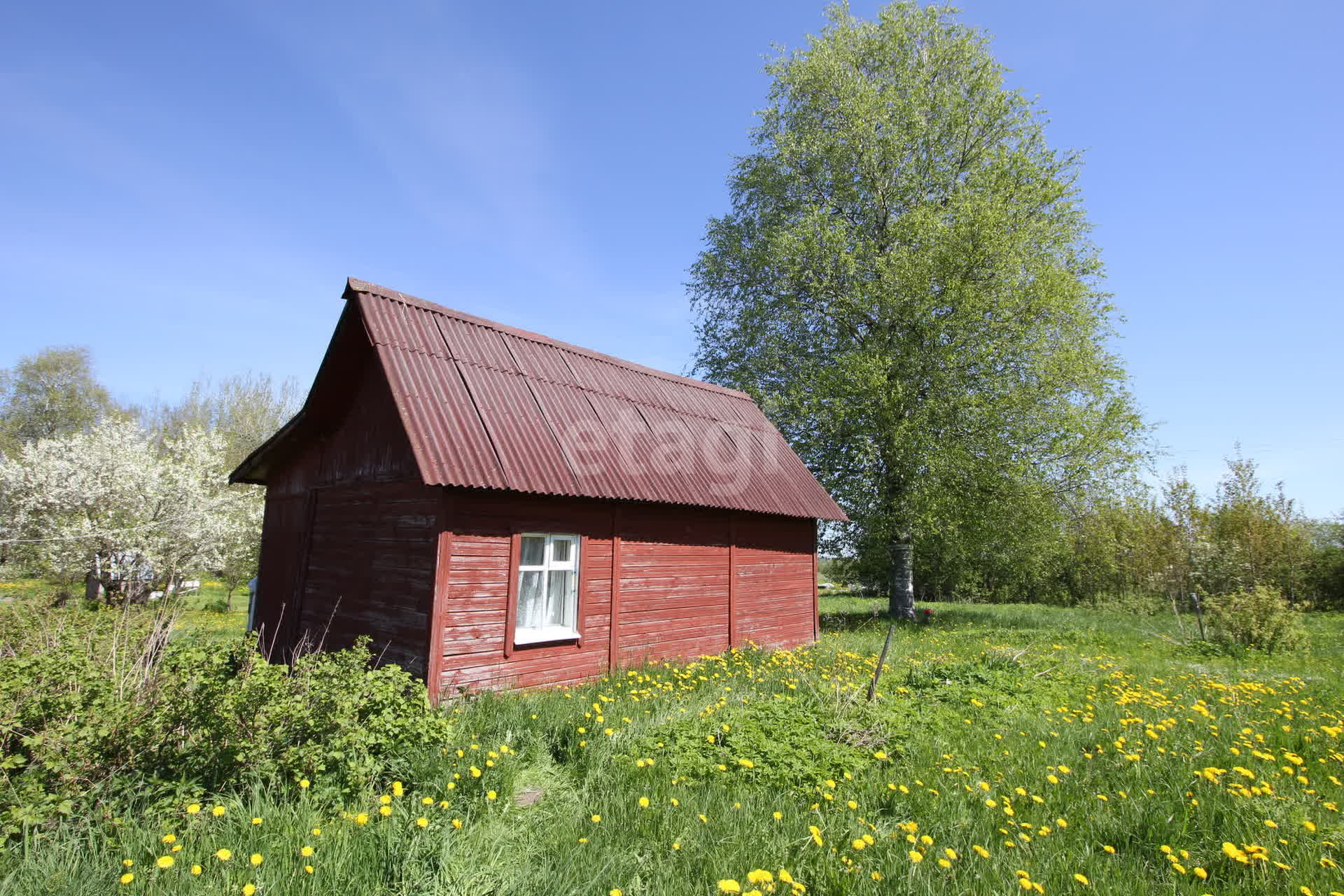 Купить дом в деревне в Шексне, 🏡 недорого, цены