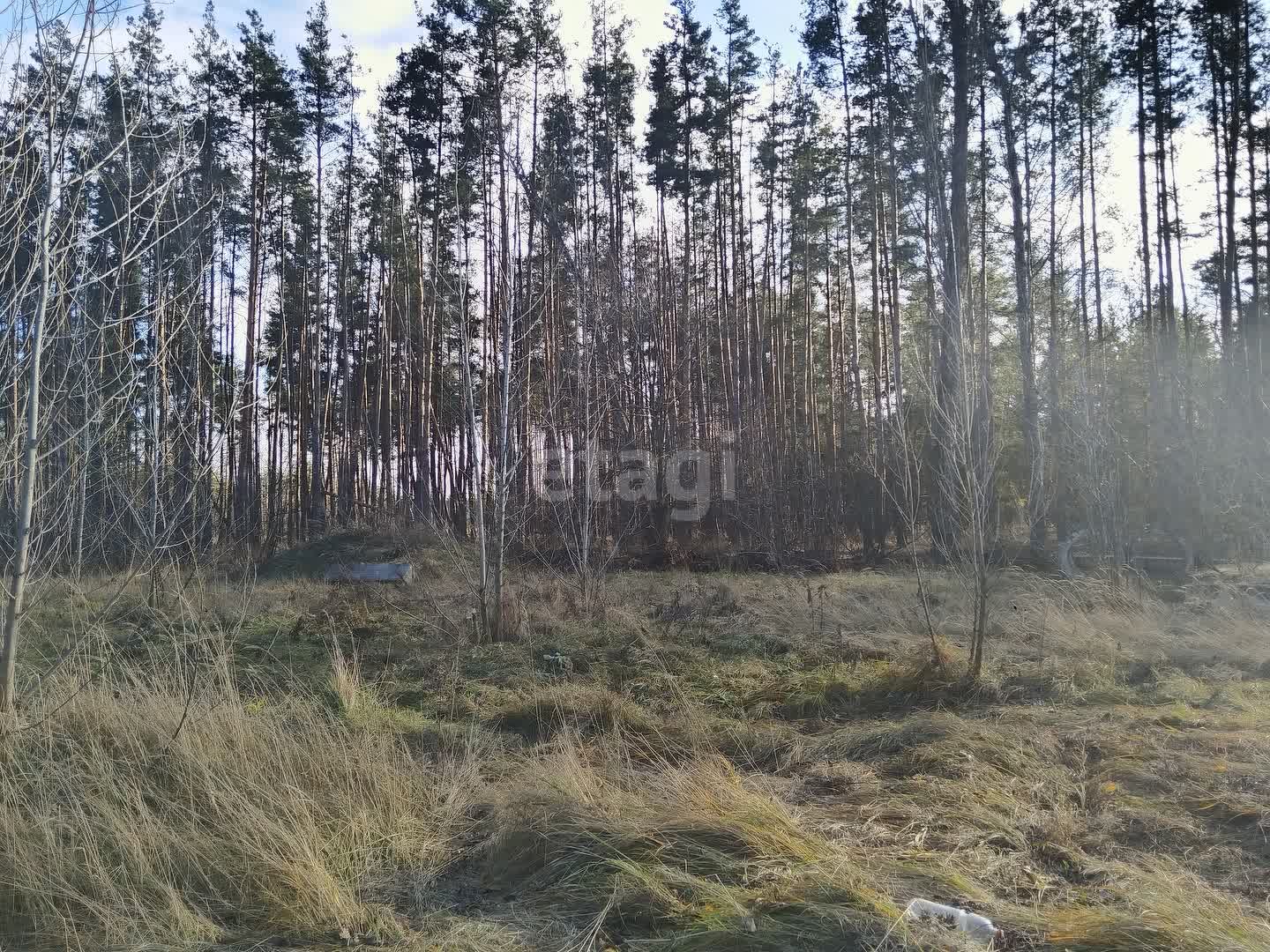 Покупка земельного участка, Новая Усмань с, 7.5 сот., 11064899, Воронеж -  покупка