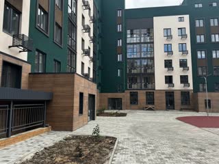 Жігіт бірнеше қыздың қынаптарын кезекпен жалайды