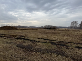 «Вишнёвый сад» в Йошкар-Оле: «Когда все сады вырублены, пора сажать новые»