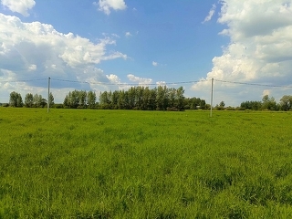 https://www.etagi.com/realty_out/zemelnye-uchastki/r-mullashi/