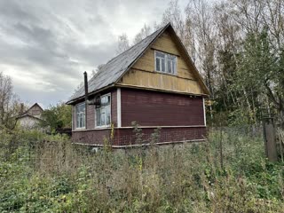Мы купили 100-летний дом в деревне за 650 000 ₽ в трех часах езды от Москвы