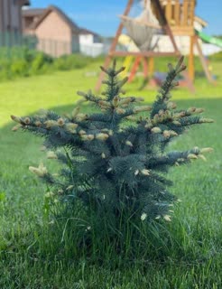 Использование энергоэффективных технологий: создание энергоэффективного жилого пространства