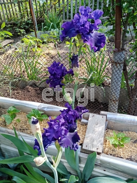 Продажа дома, 29м <sup>2</sup>, 1 сот., Саратов, Саратовская область,  Волжский 