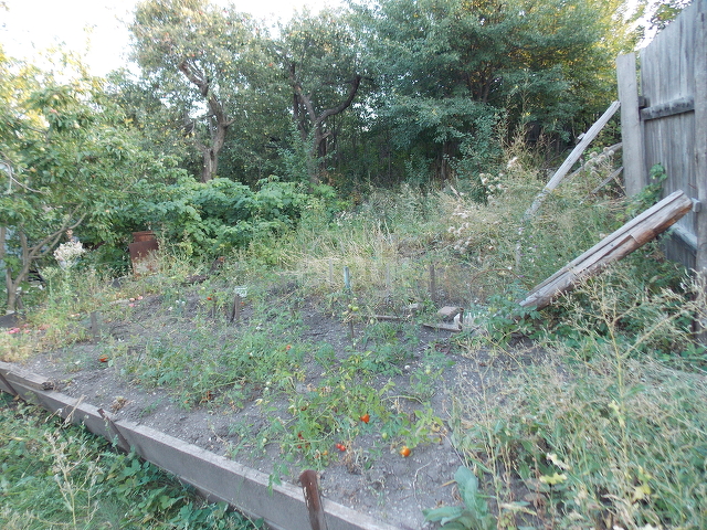 Продажа дома, 47м <sup>2</sup>, 4 сот., Саратов, Саратовская область,  Кировский