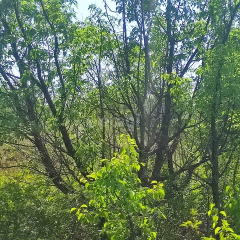 Продажа участка, Саратов, Саратовская область,  Саратов