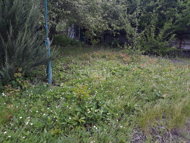 Продажа дачи, 100м <sup>2</sup>, 6 сот., Саратов, Саратовская область,  Саратов