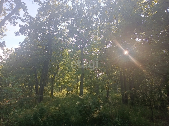 Продажа дачи, 37м <sup>2</sup>, 6 сот., Саратов, Саратовская область,  Саратов