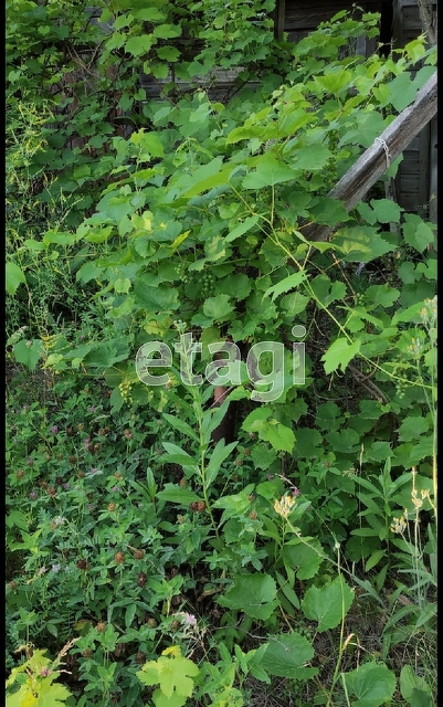 Продажа дачи, 12м <sup>2</sup>, Саратов, Саратовская область,  Саратов