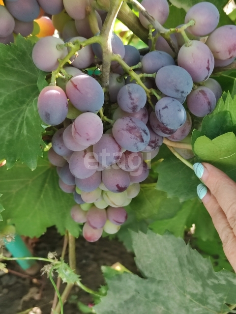 Продажа дома, 96м <sup>2</sup>, 7 сот., Саратов, Саратовская область,  Волжский 