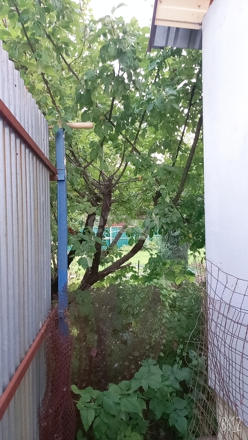 Продажа дачи, 93м <sup>2</sup>, 7 сот., Саратов, Саратовская область,  Саратовский район