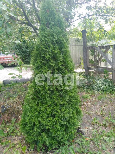 Продажа дачи, 43м <sup>2</sup>, 5 сот., Саратов, Саратовская область,  Саратов