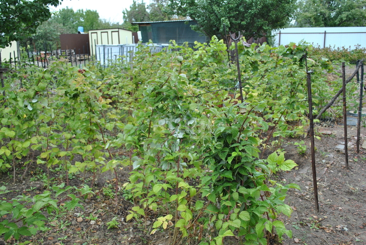 Продажа участка, Саратов, Саратовская область,  Энгельс